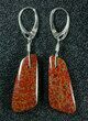 Red/Orange, Agatized Dinosaur Bone (Gembone) Earrings #84754-1